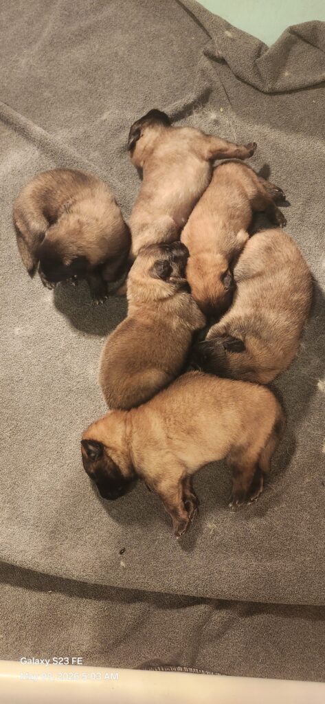 3 days old